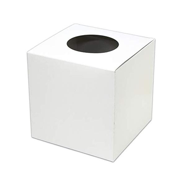 他サイト： ササガワ 抽選箱 白 中サイズ 20cm角 37-7918の商品画像