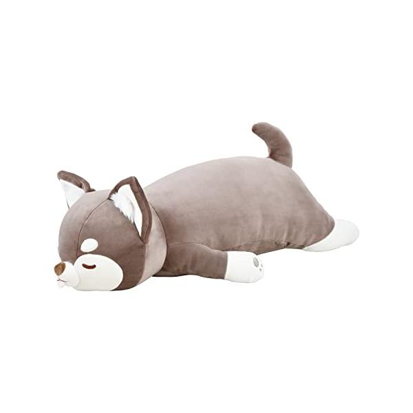 チワワのココア・チワワのココア Medium 48906-38・・Style:チワワのココアSize:Medium・側地：ポリエステル95％、ポリウレタン5％　中材：ポリエステル100％