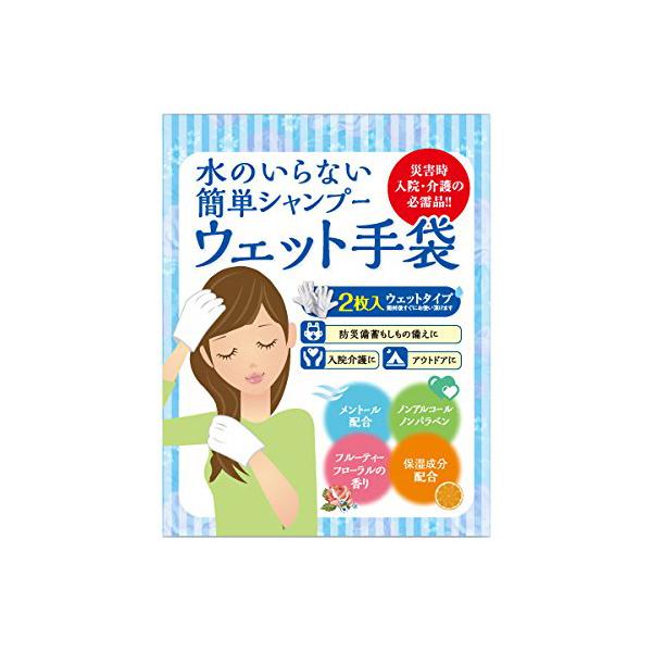 四国紙販売株式会社 水のいらない泡なしシャンプー ウェット手袋(2枚入) フルーティーフローラル　×　５ＳＥＴ