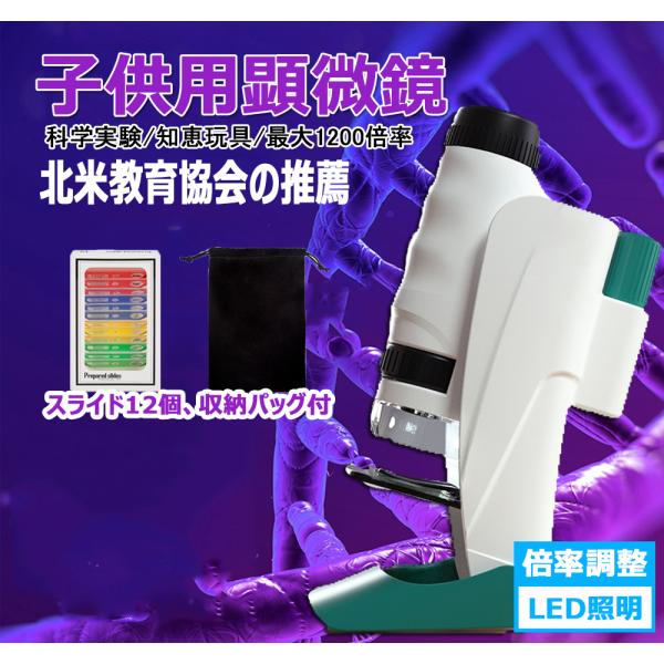 ★　自由研究に！スマホで顕微鏡写真が撮れる！　★レバー操作で倍率を1200倍まで拡大できるクイックズーム機能を搭載し、昆虫の羽や花粉、お米や片栗粉まで、身の回りのものをクリアな画像で手軽に観察・スマホ撮影できます。大人も感動する楽しさですよ...