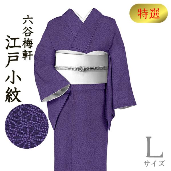 着物だいやす 678□江戸小紋□人間国宝 六谷梅軒 伊勢型紙 菊花文 京