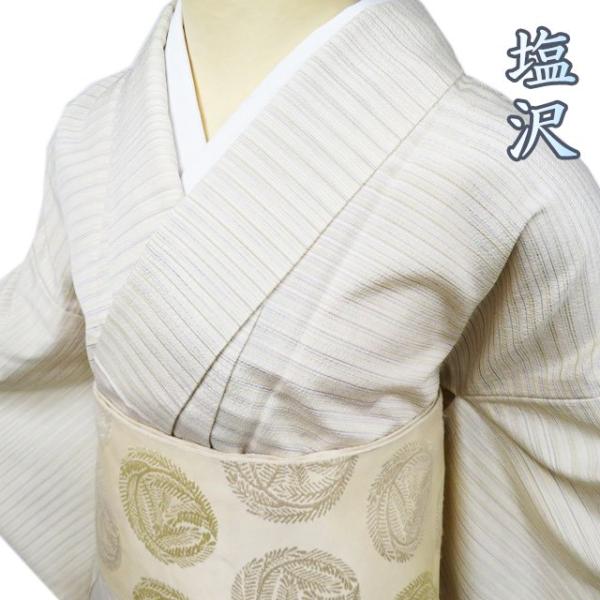 塩沢 着物 中古 単衣 カジュアル 横縞模様 練色 多色 身丈157.5cm 裄  