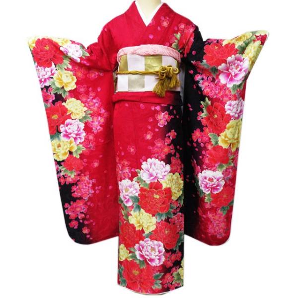 振袖 襦袢 2点 セット 着物 中古 花模様 牡丹 桜 地模様 銀通し 赤色 