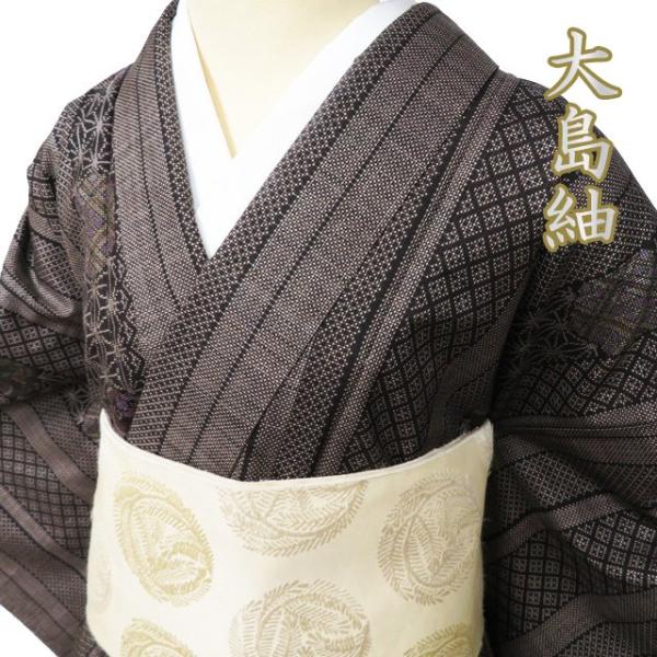 大島紬 着物 中古 正絹 袷 カジュアル 縦段模様 焦茶色 多色 身丈160cm  