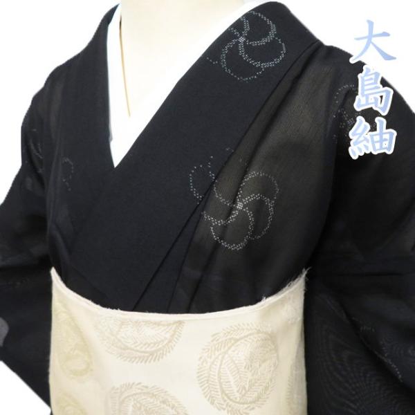 特選 夏物 大島紬 夏大島 着物 中古 正絹 粋紗絣 ラベル付き 捻梅模様 