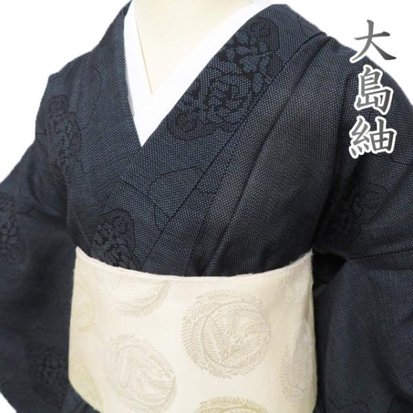 夏物 大島紬 夏大島 着物 中古 正絹 カジュアル 黒色 身丈159.5cm 裄  