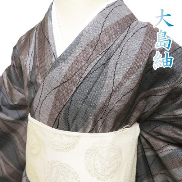 大島紬 着物 中古 正絹 袷 カジュアル 立涌模様 茶系色 多色 身丈159cm 裄66cm M ワイド きもの北條 A1178-3 大島紬 着物 中古 正絹 袷 カジュアル 立涌模様 茶系色 多色 身丈159cm