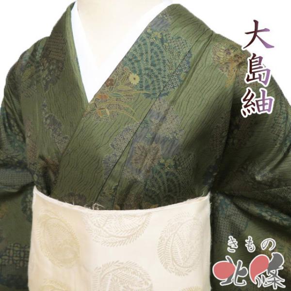 大島紬 着物 中古 正絹 袷 カジュアル 絞り模様 雪輪に花模様 老竹色