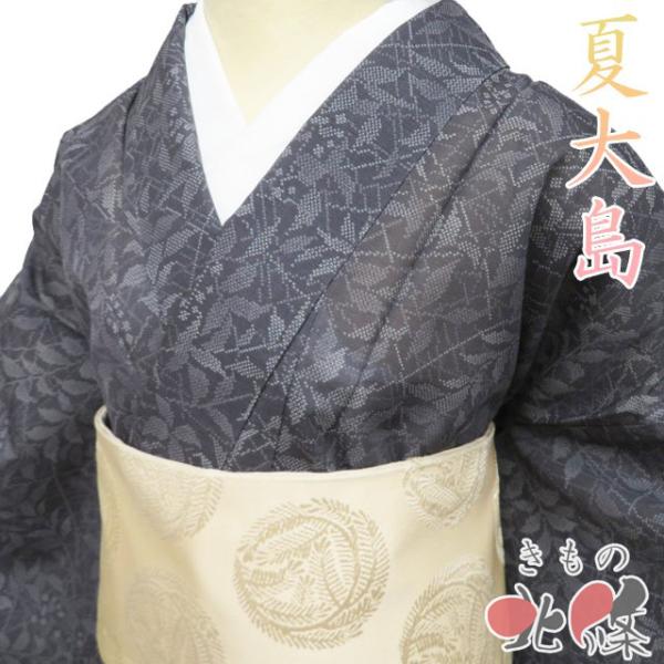 特選 夏物 夏大島 大島紬 着物 未使用 正絹 カジュアル 植物文様