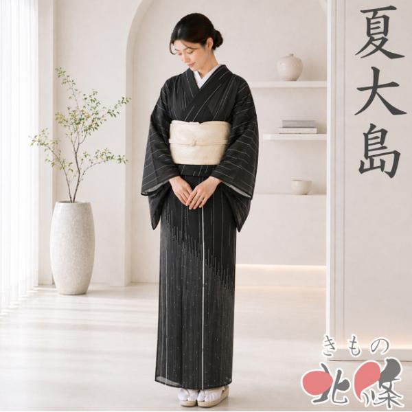 夏物 夏着物 夏大島 大島紬 着物 中古 正絹 カジュアル 線模様 黒色 身丈157cm 裄65cm M きもの北條 A1354-14 夏物 夏着物 夏大島 大島紬 着物 中古 正絹 カジュアル 線模様 黒色