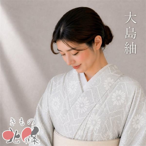 帯揚げ ５枚セット 和装小物 きもの北條 A1127-1 帯揚げ 七五三 女の子用 正絹 絞り柄 帯上げ こども着物に【選べる6色】