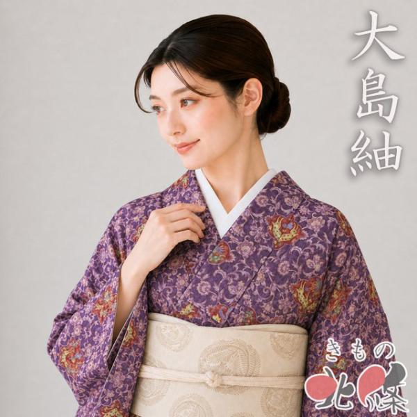 特選 大島紬 着物 未使用 正絹 袷 カジュアル 更紗調 花唐草模様 動物