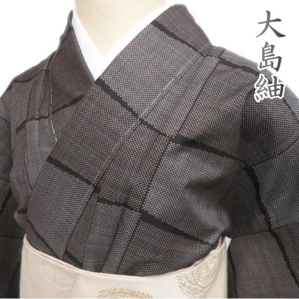 ☆きもの北條☆ 大島紬 モダンな和の装いに ワイド 焦茶色 着物 A762-7  