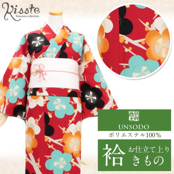 Kisste 着物 小紋 袷 赤 水色 橙 黒 梅 芸艸堂 L フリーサイズ