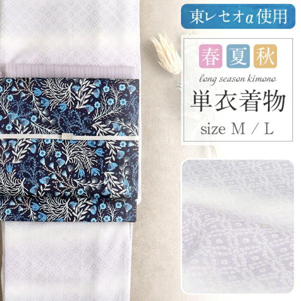 Kisste（キステ） 着物 洗える 単衣 セオアルファ 夏着物 裄丈66 裄丈