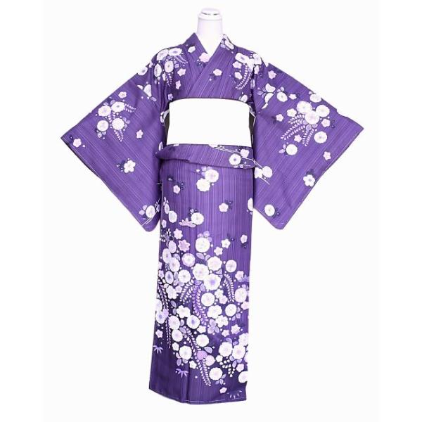 洗える訪問着　縞　ポリエステル 洗える訪問着 縞 ポリエステル - 着物・浴衣新 デザイン