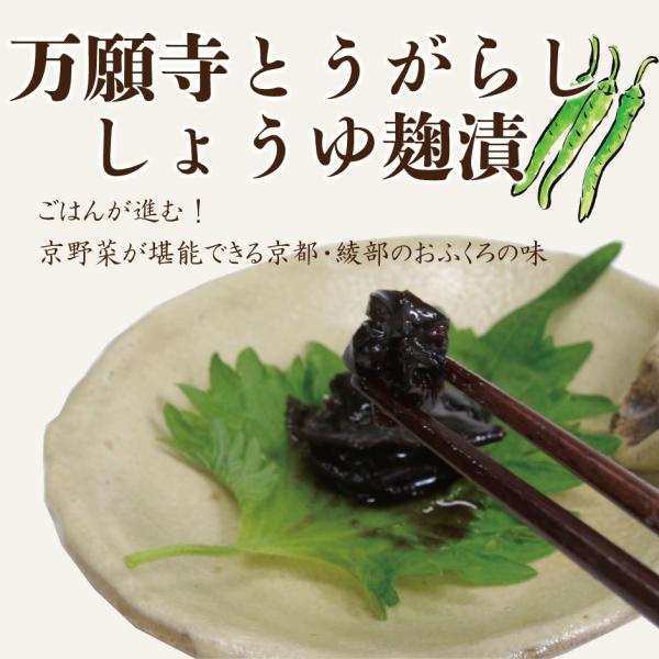 京野菜 漬物の人気商品 通販 価格比較 価格 Com