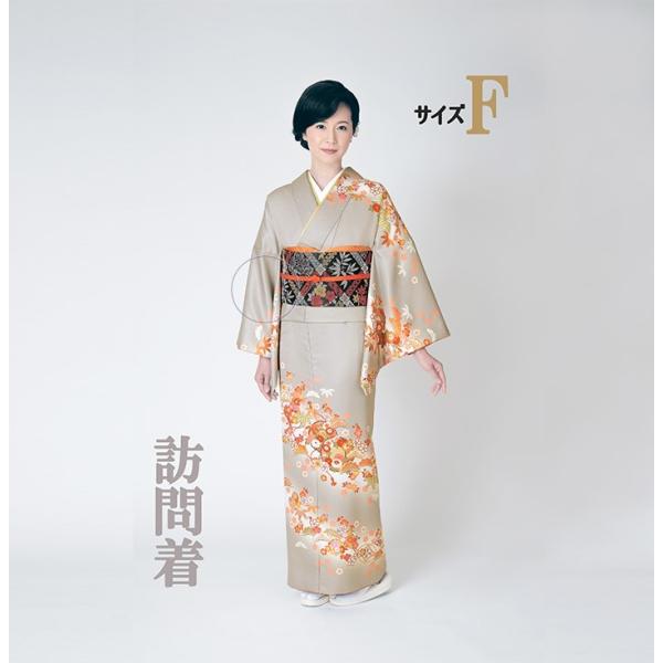 訪問着レンタル18点フルセット【グレー/花/アシュレイ[H.L](化繊