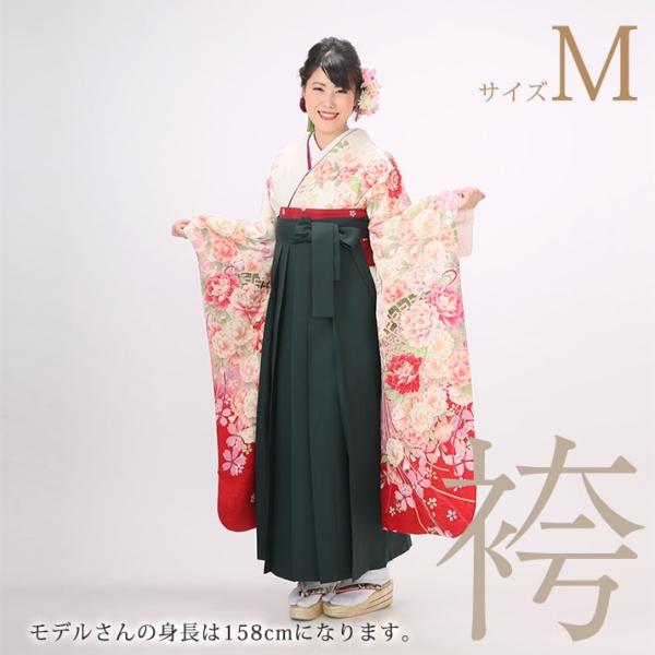 ▽袴　一式セット（扇子なし）　絹100%　購入時20万以上したので半額以下です❁ kimono-re-paradise_7-496-midori