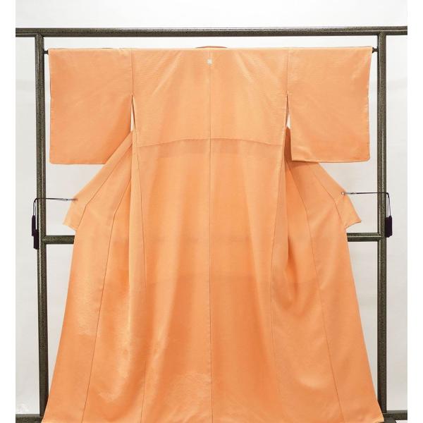 訪問着 正絹 雲取青海波模様 身丈161cm 裄丈65.5cm リサイクル 着物