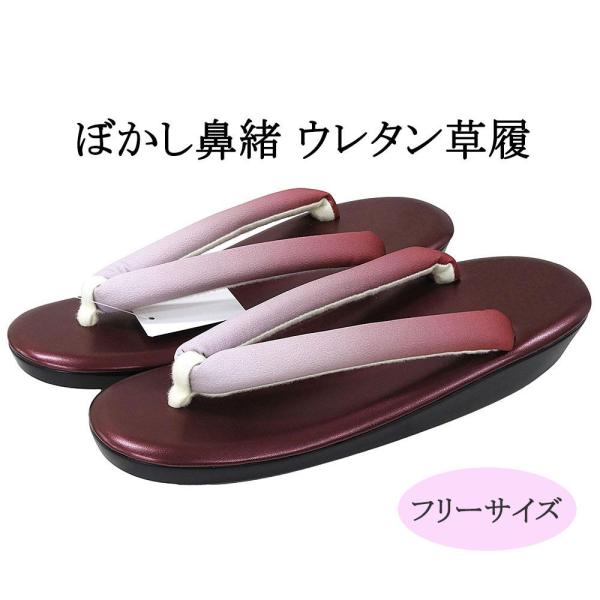 草履 ウレタン草履 ぼかし鼻緒 フリーサイズ レディース グラデーション 卒業式 女性 ぞうり 着物 新品 n5647
