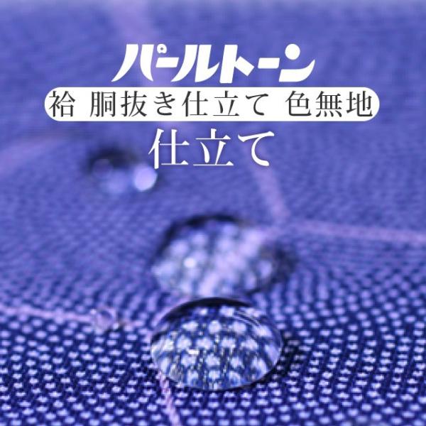 Rie!+パールトーン加工 パールトーン加工 お仕立て セット 色無地 撥水 防カビ 汚れも安心