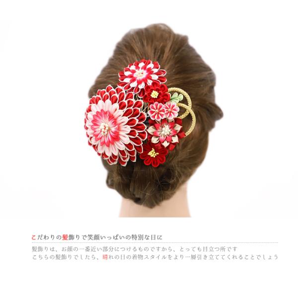 第1位獲得 髪飾り 成人式 振袖 前撮り 袴 2点セット 花 菊 赤 ピンク 白 金 ちりめん つまみ細工 組紐 かんざし 簪 和 和装 大きい おしゃれ 可愛い 縮緬 高級 No 12 0006 爆安プライス Theculturewire Com