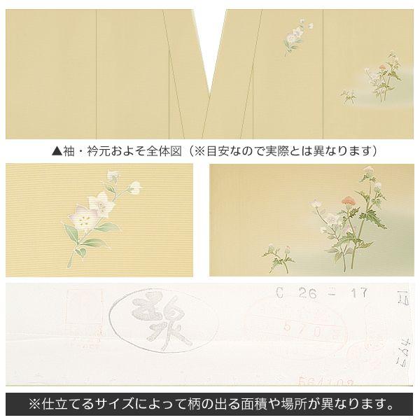 Prices down2）着物 夏 付け下げ 未仕立て 反物「香色 薊と桔梗」 附下 