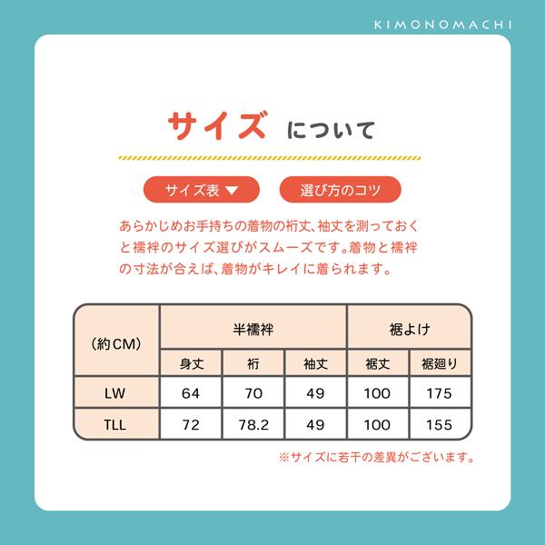 二部式襦袢 レディース 洗える襦袢 「二部式襦袢 白 綸子」 LWサイズ TLLサイズ 大きいサイズ ポリエステル 綿 半襦袢と裾よけのセット 女性用 通年用襦袢 洗える襦袢 半衿付き 掛け衿付き 衣紋抜き付き 和装下着 着物 【メール便不可】