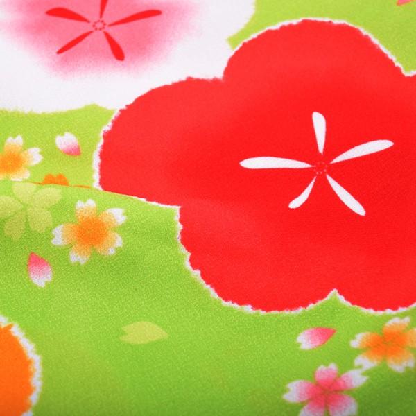 Prices down2）卒業式 袴 大学生 着物 洗える 二尺袖 「黄緑色 梅と