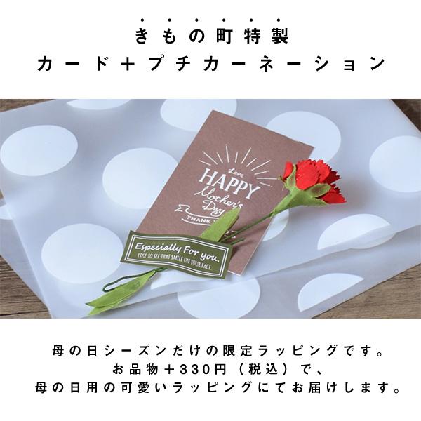母の日 プレゼント カーネーション ラッピング 「カーネーション(造花)+母の日カード ラッピングセット」 母の日ギフト ギフトラッピング プレゼント包装 造花 メッセージカード おしゃれ かわいい 母の日 ギフト Mother's Day 【メール便不可】