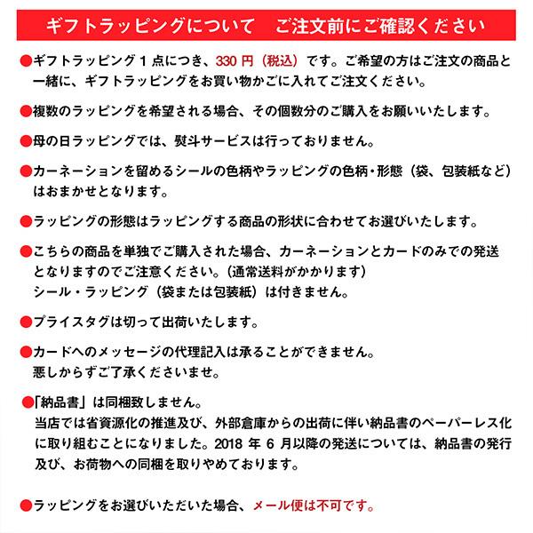 母の日 プレゼント カーネーション ラッピング 「カーネーション(造花)+母の日カード ラッピングセット」 母の日ギフト ギフトラッピング プレゼント包装 造花 メッセージカード おしゃれ かわいい 母の日 ギフト Mother's Day 【メール便不可】