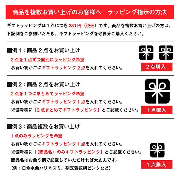 母の日 プレゼント カーネーション ラッピング 「カーネーション(造花)+母の日カード ラッピングセット」 母の日ギフト ギフトラッピング プレゼント包装 造花 メッセージカード おしゃれ かわいい 母の日 ギフト Mother's Day 【メール便不可】