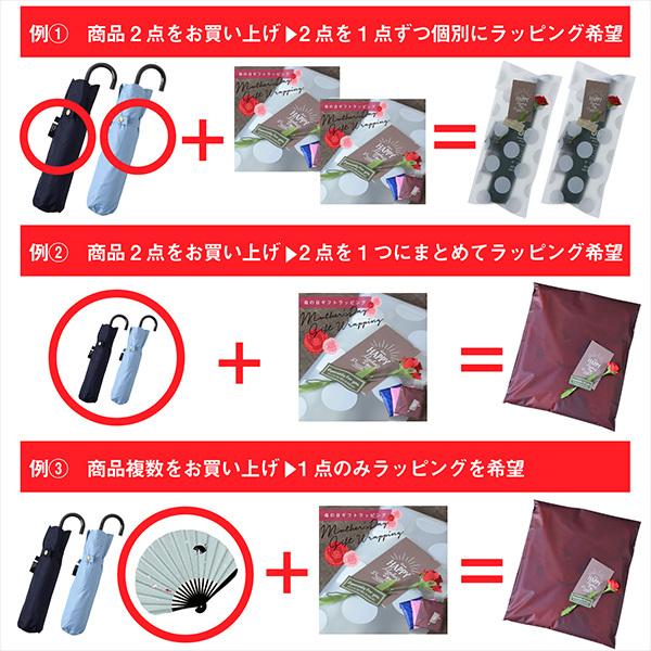 母の日 プレゼント カーネーション ラッピング 「カーネーション(造花)+母の日カード ラッピングセット」 母の日ギフト ギフトラッピング プレゼント包装 造花 メッセージカード おしゃれ かわいい 母の日 ギフト Mother's Day 【メール便不可】