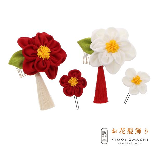 (A)(AEgbgi)R[  udփ^bZZbgv lpEqp fB[X  a U hX ܎O ([֕s)ss2509wkk25