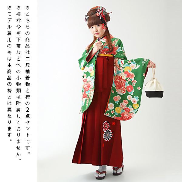 【中古品】卒業式袴セット 「二尺袖:緑 菊と藤の花+袴:エンジ×矢絣」 貸衣装処分 レンタル処分品 二尺袖 袴 卒業式、謝恩会に 【メール便不可】