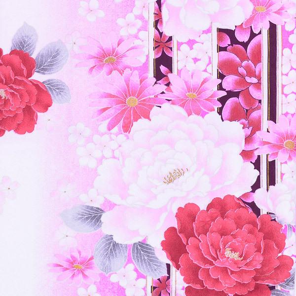 袷着物 単品「ピンクぼかし 牡丹とマーガレット」フリーサイズ 着物