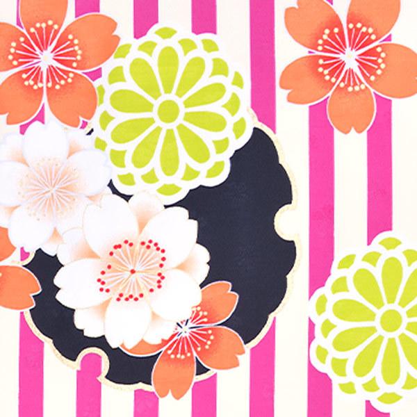 袷着物 単品「ピンクストライプ 黒雪輪に桜と菊」フリーサイズ 着物