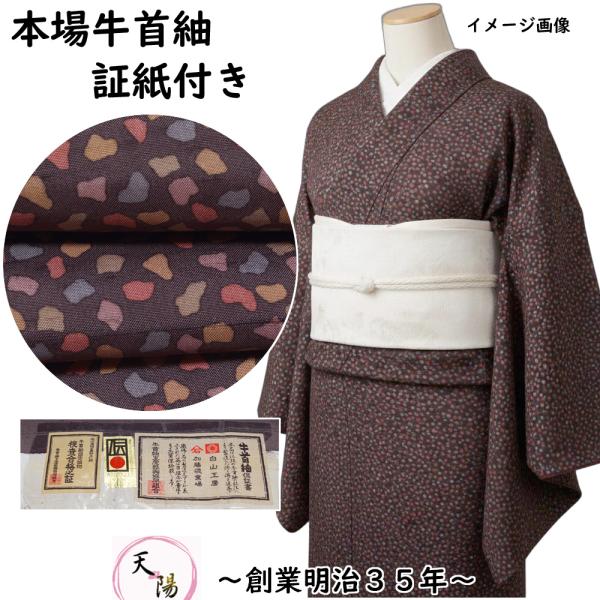 灰白色に幾何学模様のお太鼓柄　白山工房牛首紬袋帯 証紙あり 純一郎 正絹 中古 本場牛首紬 破れ色紙散らし模様 白山工房 証紙付き 牛首紬 Sサイズ