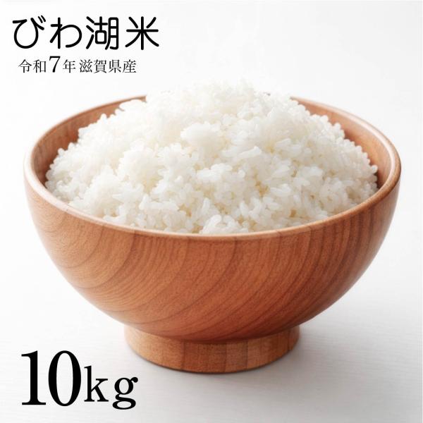 びわ湖米 ブレンド米 10kg 5kg×2袋 滋賀県産 令和7年 令和7年産のみ使用 爆買 80