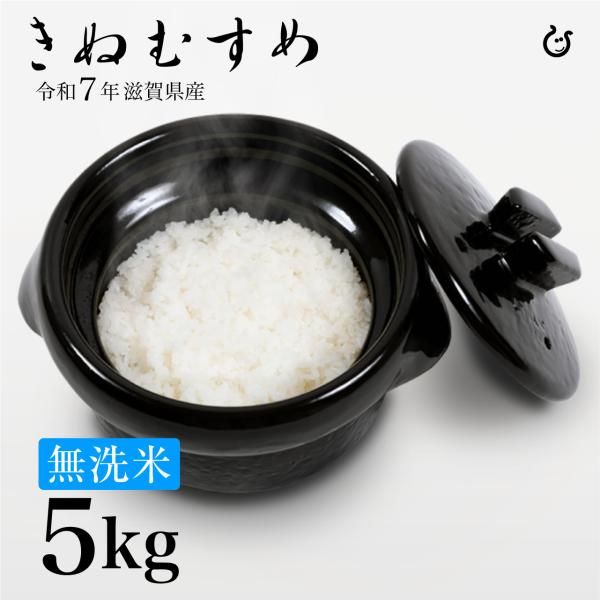 コシヒカリ 新米 無洗米 きぬむすめ 5kg 滋賀県産 令和7年 80