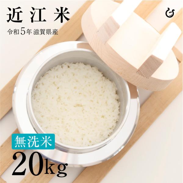 米 お米 無洗米 近江米20kg 10kg×2袋 滋賀県産 令和3年産 送料無料 