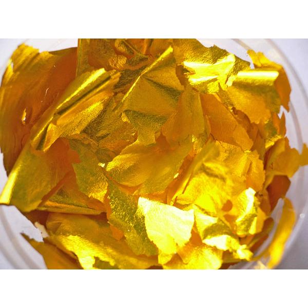 fށ@⒛@؉􂵁@S[hn@12-1 : 1g