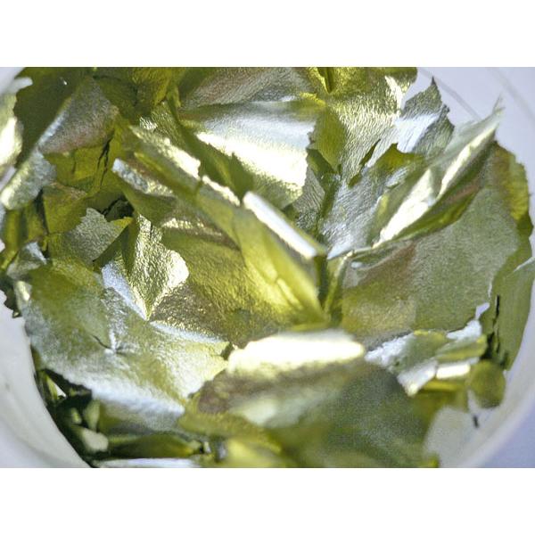 fށ@⒛@؉􂵁@O[n@3-1 : 1g