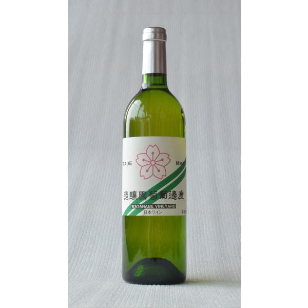 kimurasaketen_nas-s-b