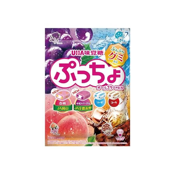 味覚糖 ぷっちょ袋4種アソート 88g