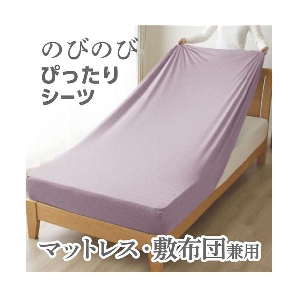[シングル] 小栗 のびのびシーツ カチオン 染めニット素材 Merry Night パープル PEC19101-92