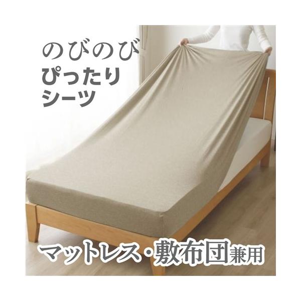 [シングル] 小栗 のびのびシーツ カチオン染めニット素材 Merry Night ベージュ PEC19101-96