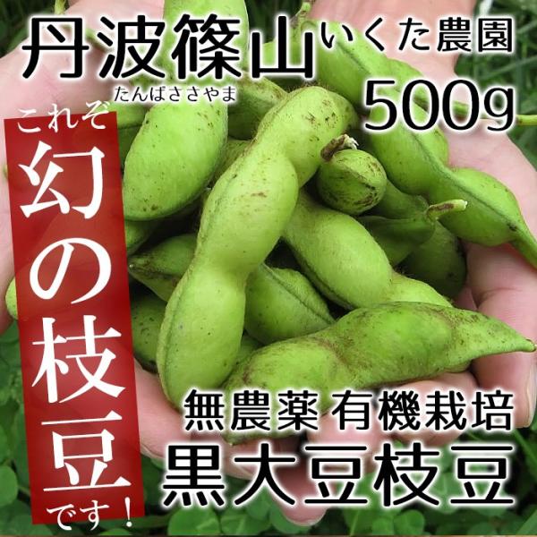 丹波篠山いくた農園の無農薬・有機栽培の黒豆枝豆500g袋入り・枝無し