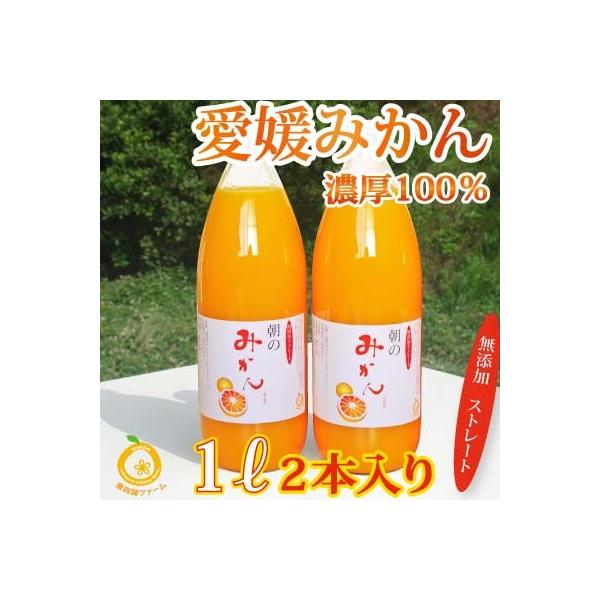 QY݂W[X2{@Xg[gʏ`1000ml 2{